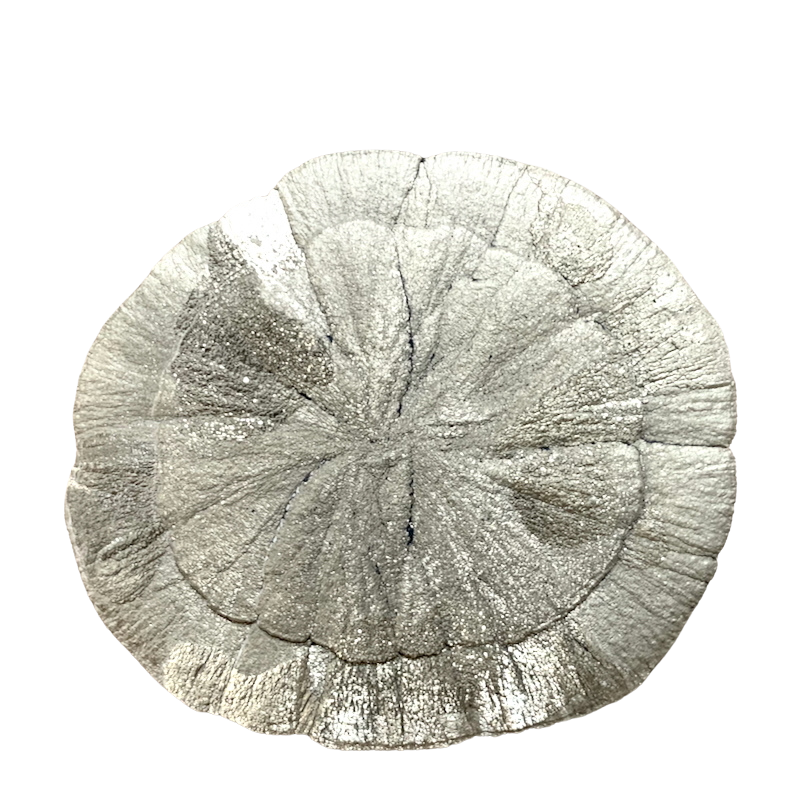 Pyrite "Sun" (Sparta, Illinois)