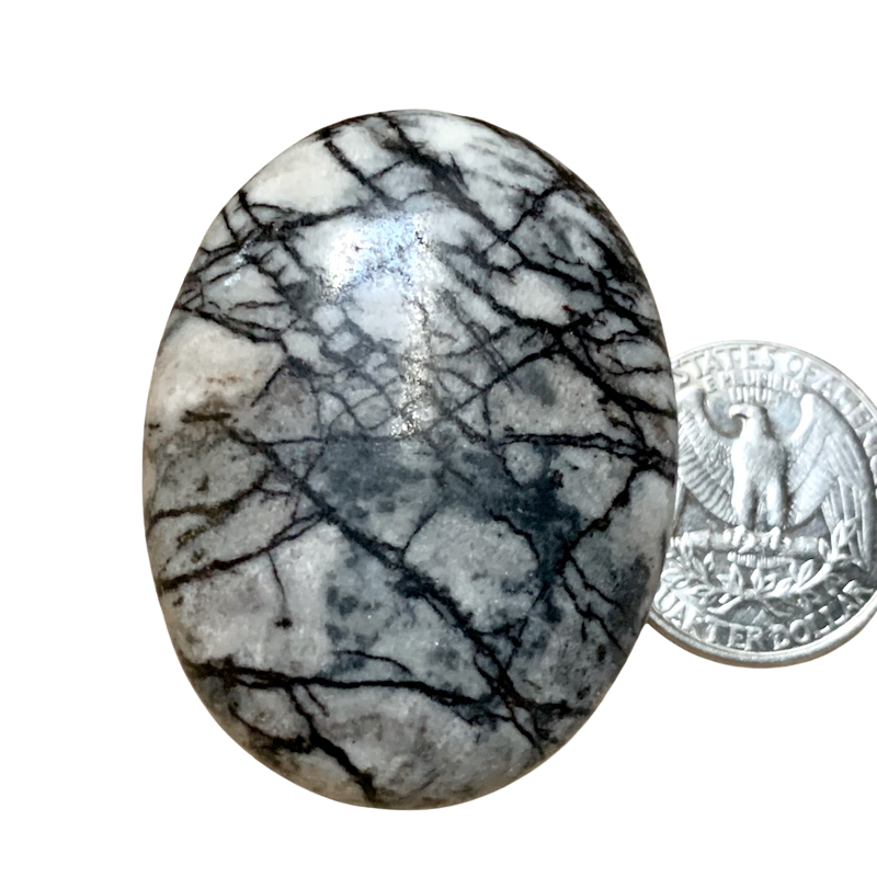 Jasper, Picasso, Palmstone