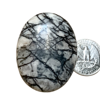 Jasper, Picasso, Palmstone