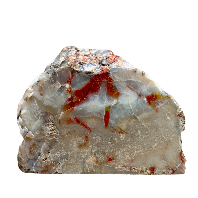 Fossil Coprolite (Dino Poop) (Nevada)