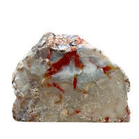 Fossil Coprolite (Dino Poop) (Nevada)