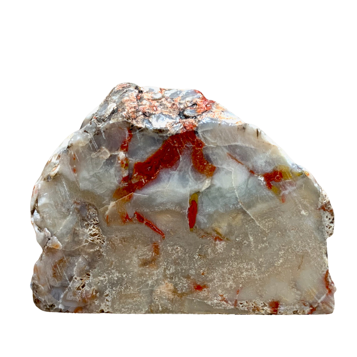Fossil Coprolite (Dino Poop) (Nevada)