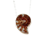 Ammonite and Sterling Silver Pendant on Chain