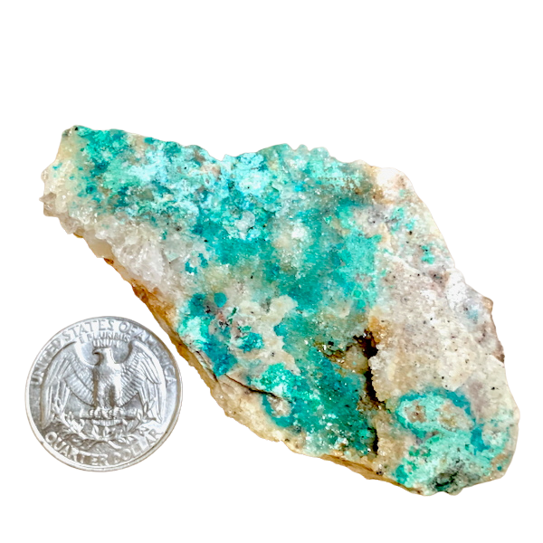 Quartz, Spangolite and Brochantite (Blanchard Mine, Socorro Co., New Mexico)