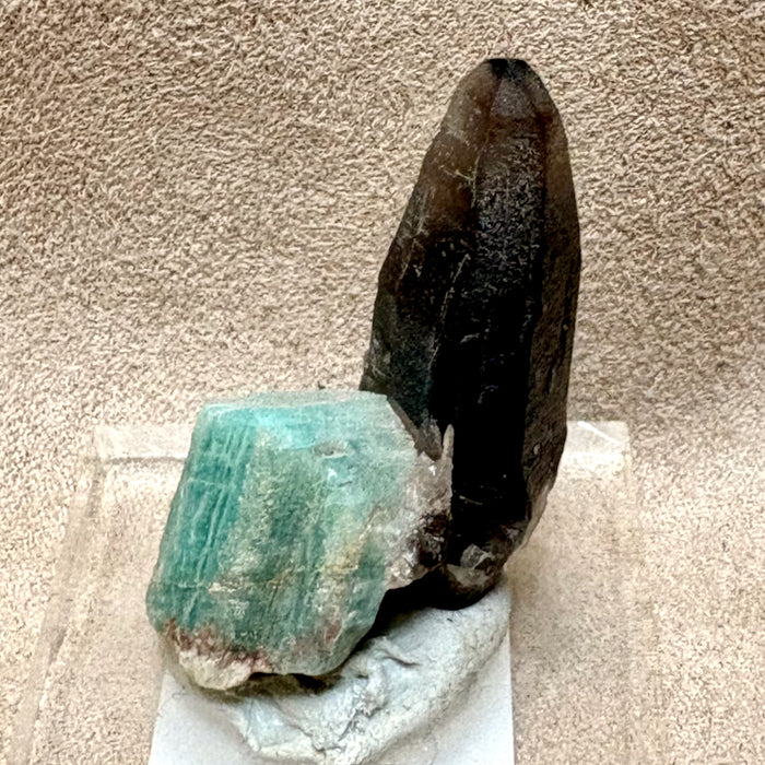 Smoky Quartz with Amazonite (Colorado)