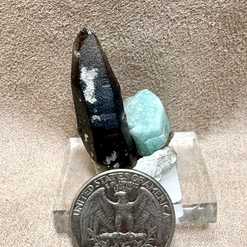 Smoky Quartz with Amazonite (Colorado)