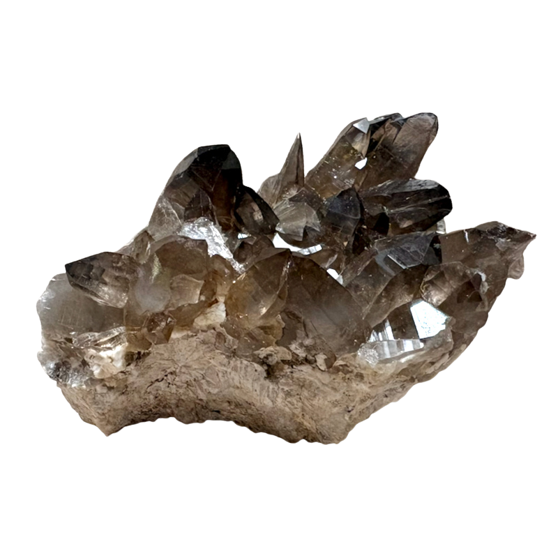 Smoky Quartz with Albite & Epidote (Dona Ana Co., New Mexico)