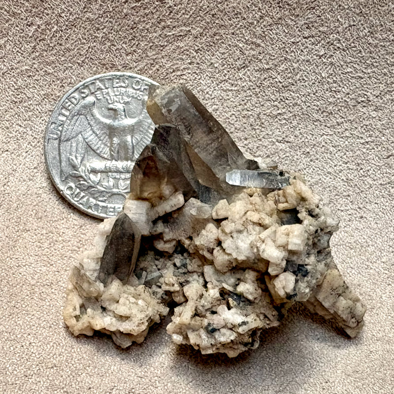 Smoky Quartz on Orthoclase (Dona Ana Co., New Mexico)