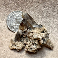Smoky Quartz on Orthoclase (Dona Ana Co., New Mexico)