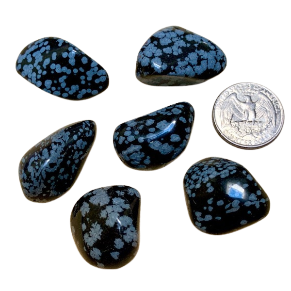 Obsidian, Snowflake, Polished Pebble