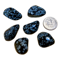 Obsidian, Snowflake, Polished Pebble