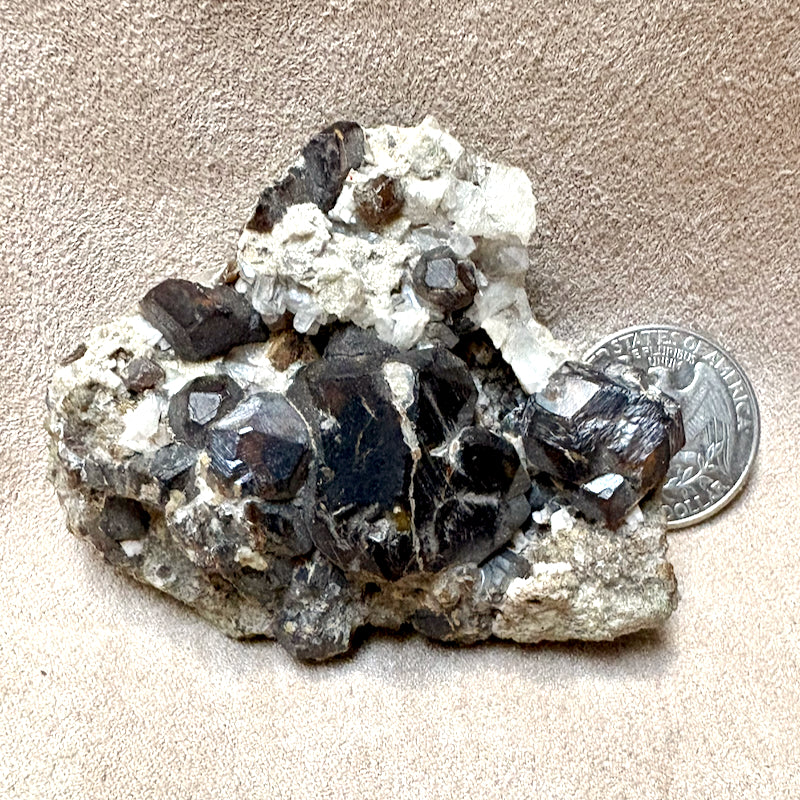Garnet, Andradite (Santa Fe County, New Mexico)