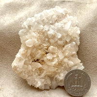 Calcite, Mangano (Grant Co., New Mexico)