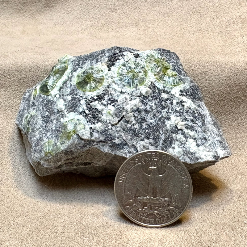 Wavellite (Arkansas)