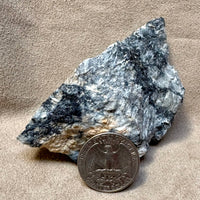 Altaite with Tremolite (Dona Ana Co., New Mexico)