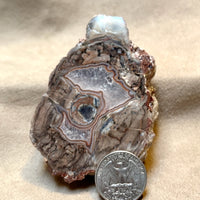 Geode, Baker (Luna County, New Mexico)