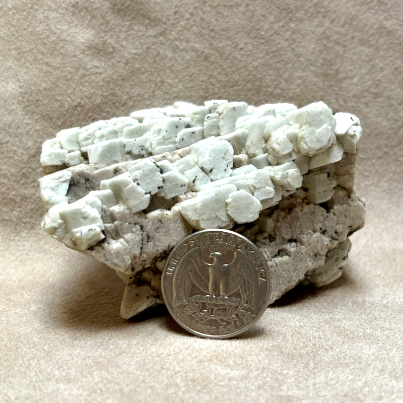 Albite on Orthoclase (Dona Ana County, New Mexico)
