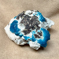 Cavansite on Matrix (India)