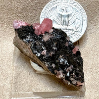 Rhodochrosite (Peru)