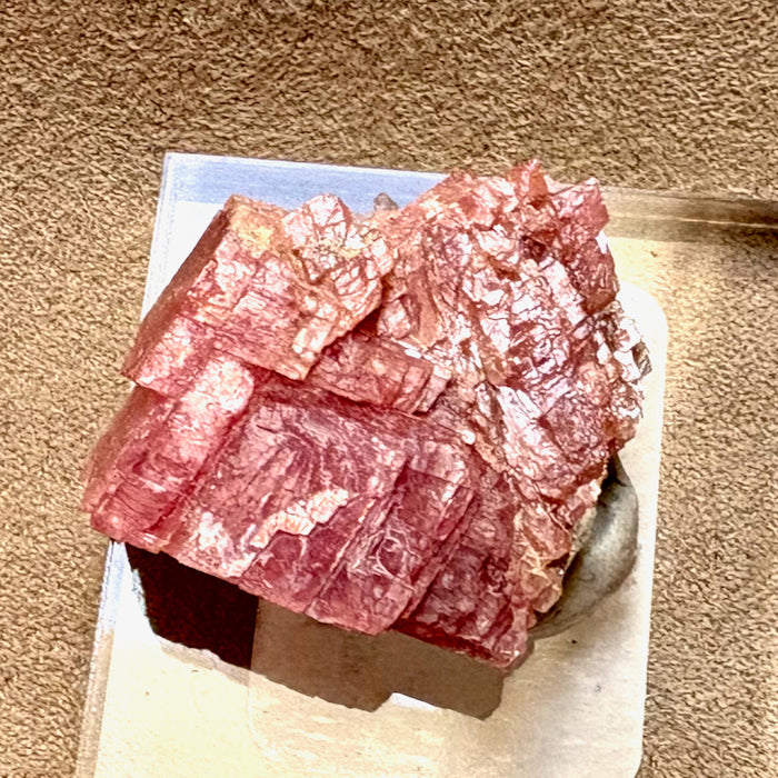Rhodochrosite (Sweet Home Mine, Colorado)
