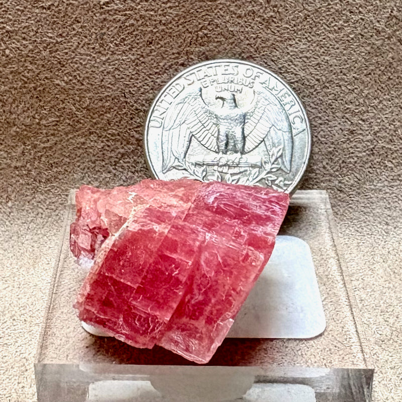 Rhodochrosite (Sweet Home Mine, Colorado)