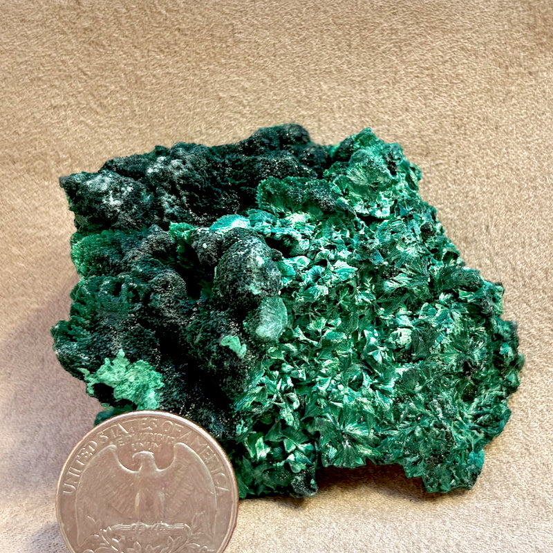 Malachite (Dem. Rep. of Congo)