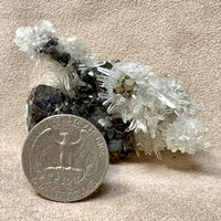 Sphalerite, Quartz & Pyrite (Peru)