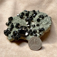 Garnet, Andradite (Melanite) (Mali)