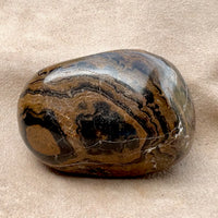 Stromatolite (Bolivia)