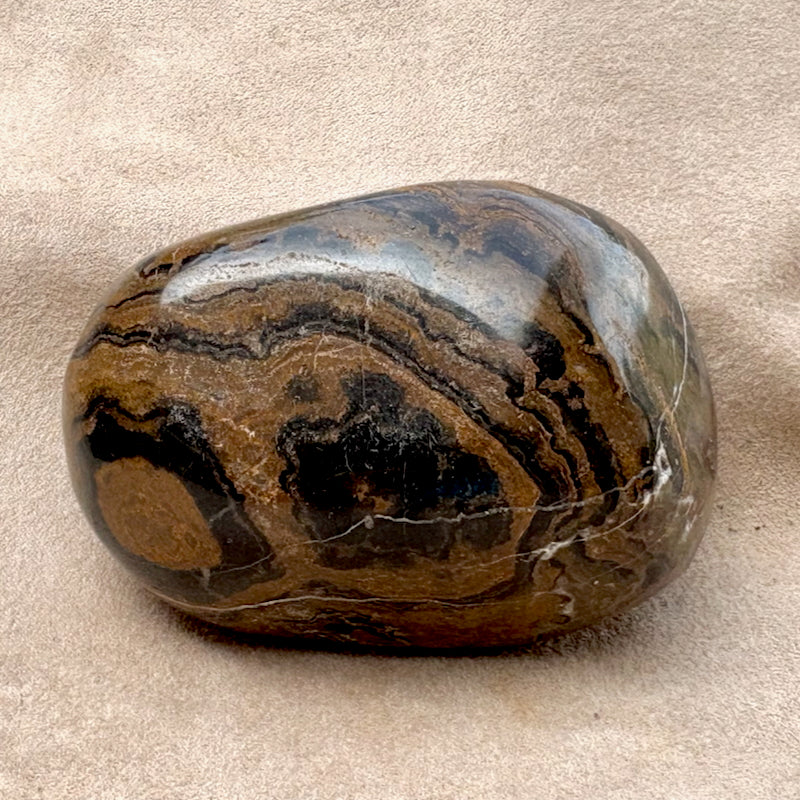 Stromatolite (Bolivia)