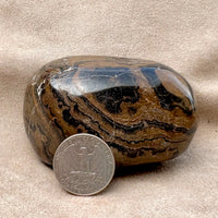 Stromatolite (Bolivia)