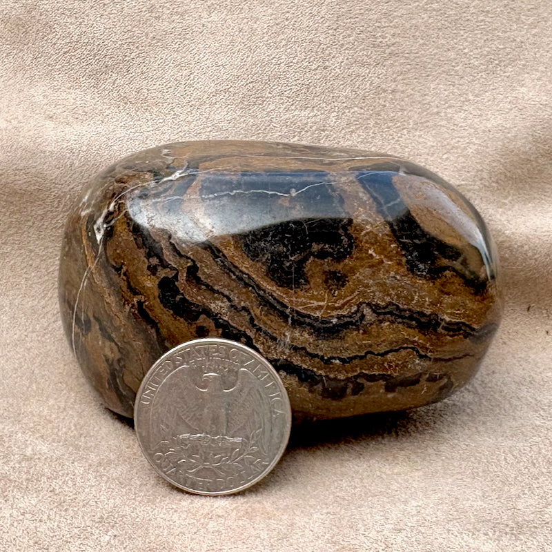 Stromatolite (Bolivia)
