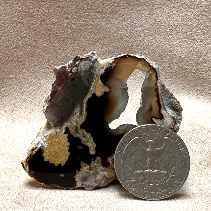 Geode, Black Agate (Bulgaria)