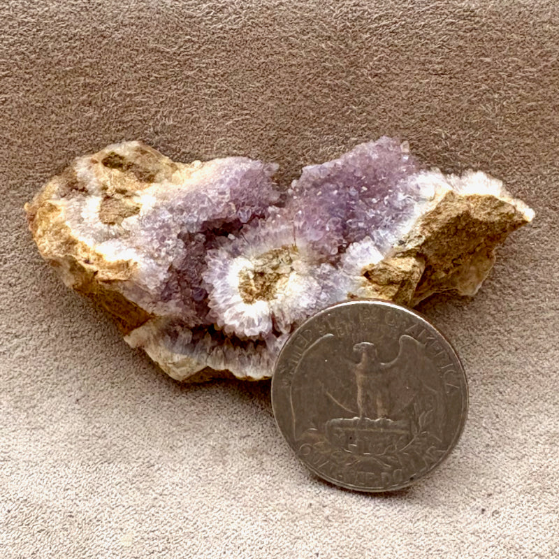 Amethyst (Sierra Co., New Mexico)