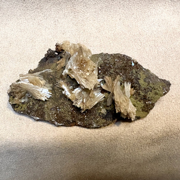 Barite, calcite & mottramite (Mexico)