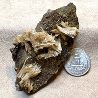 Barite, calcite & mottramite (Mexico)