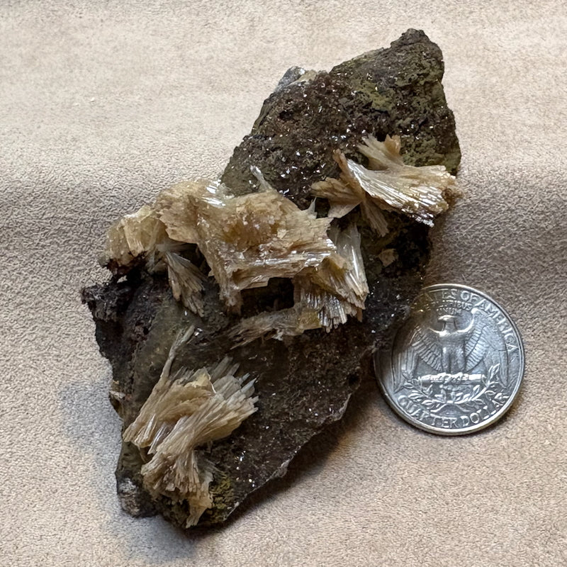 Barite, calcite & mottramite (Mexico)