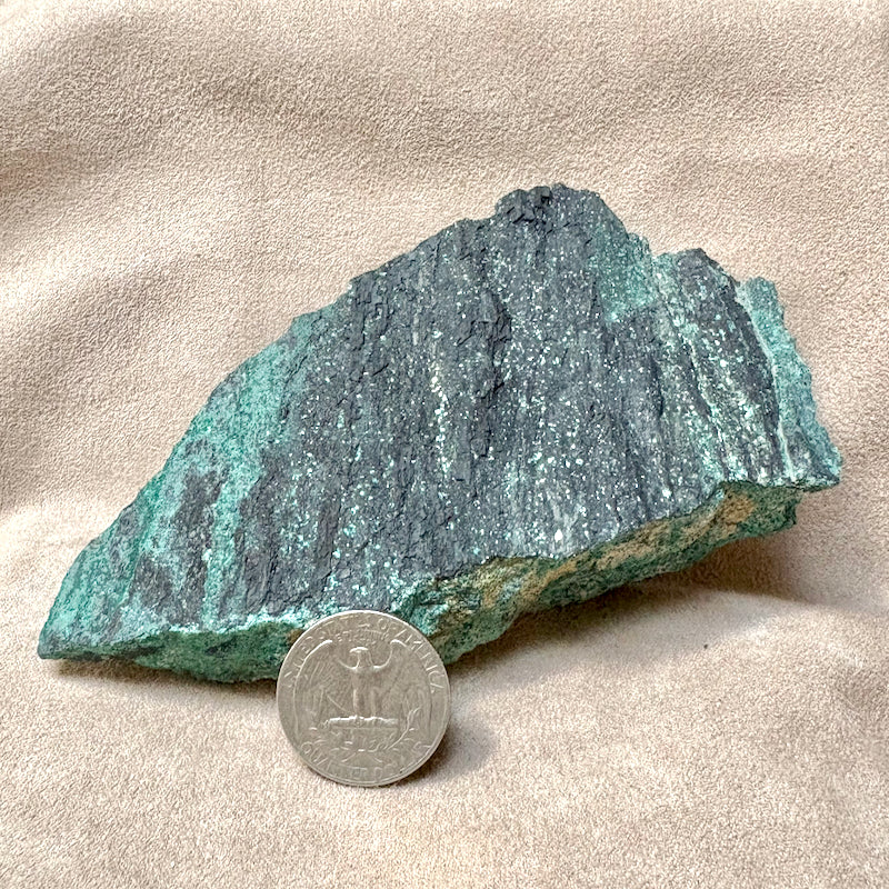 Petrified Wood, "Nacimiento" (Triassic, Sandoval Co., New Mexico)