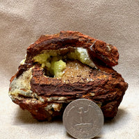 Adamite with Calcite (Mexico)
