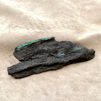 Petrified Wood, "Nacimiento" (Triassic, Sandoval Co., New Mexico)