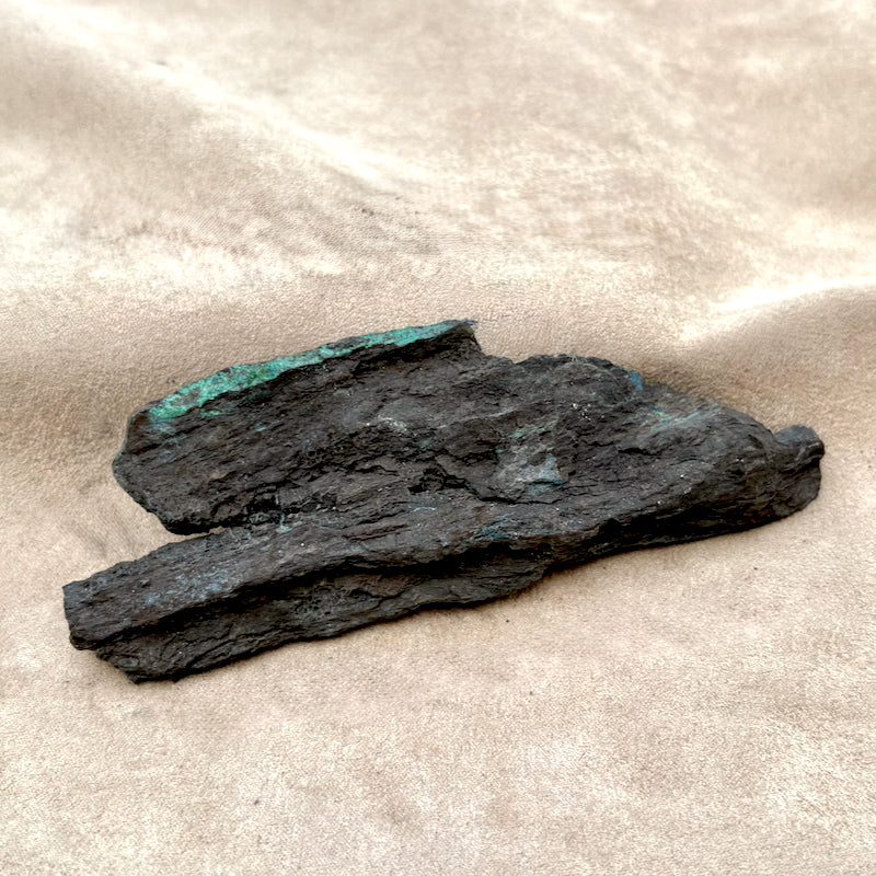 Petrified Wood, "Nacimiento" (Triassic, Sandoval Co., New Mexico)