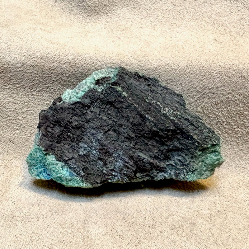 Petrified Wood, "Nacimiento" (Triassic, Sandoval Co., New Mexico)