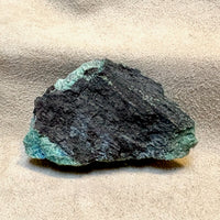 Petrified Wood, "Nacimiento" (Triassic, Sandoval Co., New Mexico)