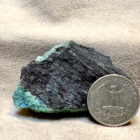 Petrified Wood, "Nacimiento" (Triassic, Sandoval Co., New Mexico)