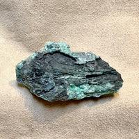 Petrified Wood, "Nacimiento" (Triassic, Sandoval Co., New Mexico)