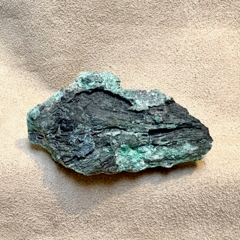 Petrified Wood, "Nacimiento" (Triassic, Sandoval Co., New Mexico)