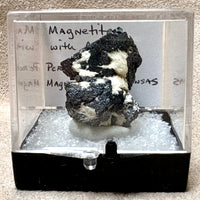 Magnetite with Albite (Arkansas)
