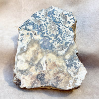 Silver Ore (Alhambra Mine, Grant Co., New Mexico)