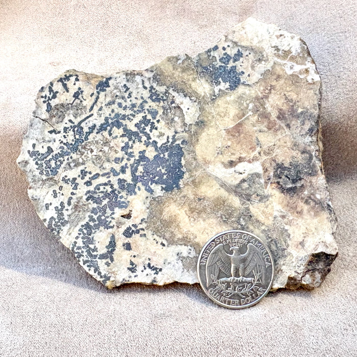 Silver Ore (Alhambra Mine, Grant Co., New Mexico)