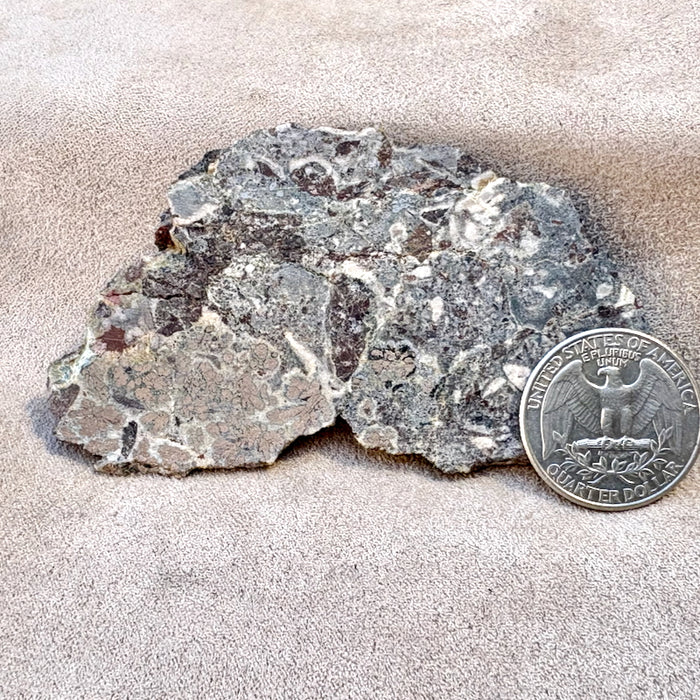 Nickelite with Native Silver (Alhambra Mine, Grant Co., New Mexico)